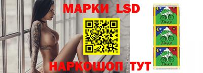 индика Аргун