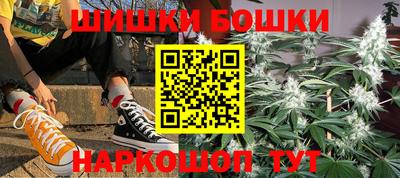 индика Аргун