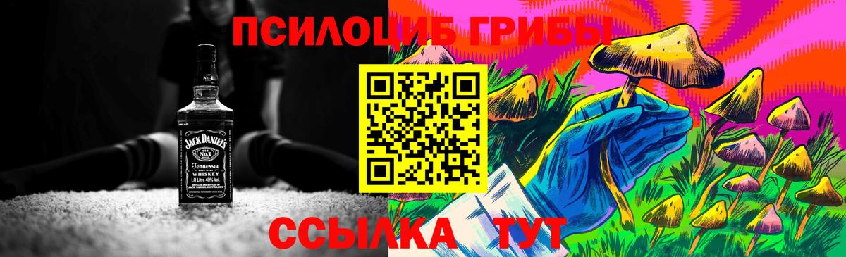 Галлюциногенные грибы прущие грибы Архангельск